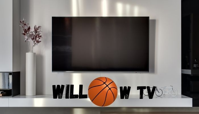 How to Cancel Willow Tv Subscription on iPhone